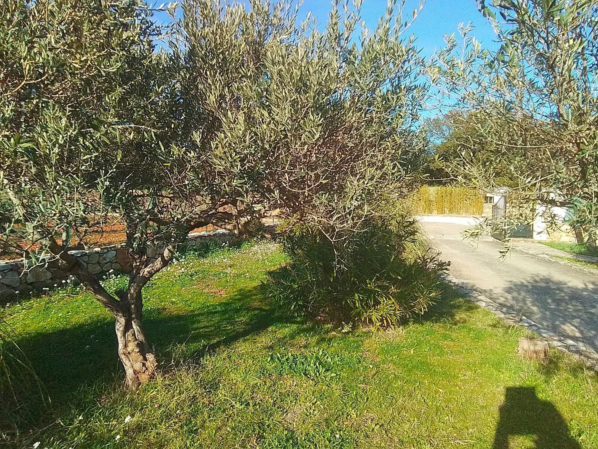 Cotignac Sejour Vacances المظهر الخارجي الصورة